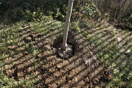 06. Making the Students Center in Pristina Greener: Tree Planting Initiative by EULEX and “Keep it Green”