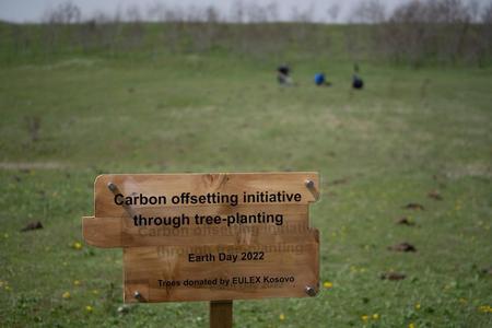 tree planting 4